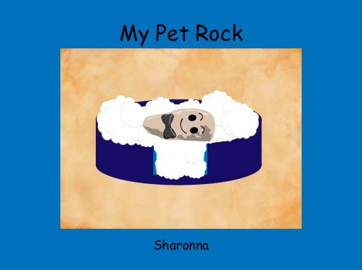 my-pet-rock-free-books-children-s-stories-online-storyjumper