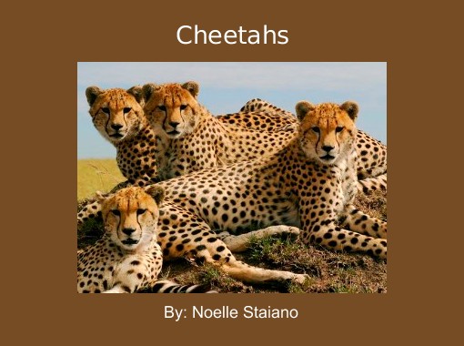 "Cheetahs" - Free Books &amp; Children's Stories Online | StoryJumper