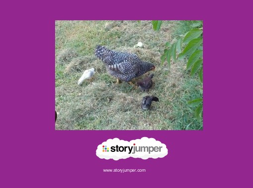 Ari Chicken's books on StoryJumper