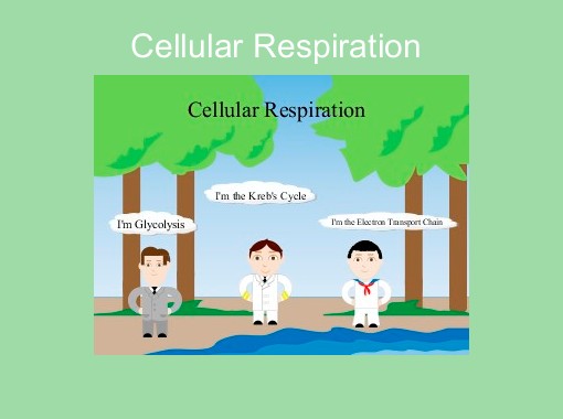Cellular respiration story