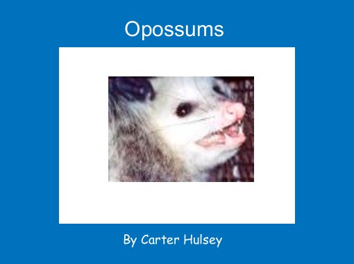"Opossums" - Free stories online. Create books for kids | StoryJumper