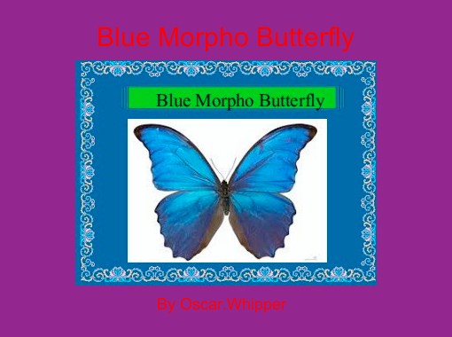 Liquid Morpho Butterfly