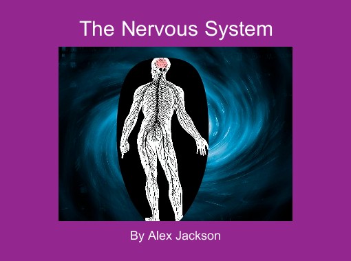 nervous system for kids diagram