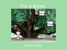 Fun in Burma 
