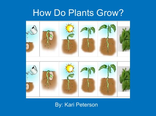 "How Do Plants Grow?" Free Books & Children's Stories
