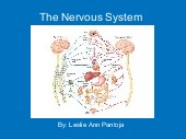 "The Fifth Grade Nervous System" - Free Books & Children's Stories
