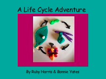 A Life Cycle Adventure 