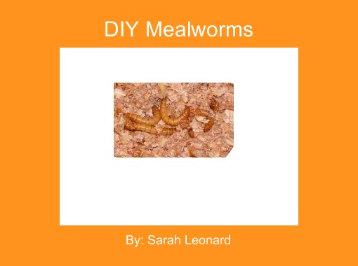 "DIY Mealworms" - Free stories online. Create books for kids | StoryJumper