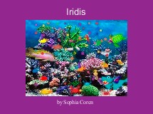 Iridis