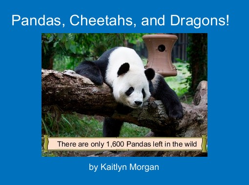 "Pandas, Cheetahs, and Dragons!" - Free stories online. Create books ...
