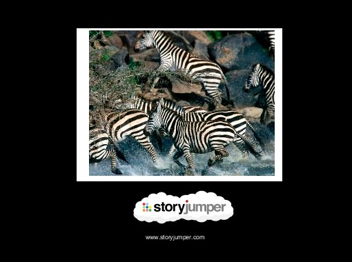 "All About Zebras" - Free stories online. Create books for kids ...
