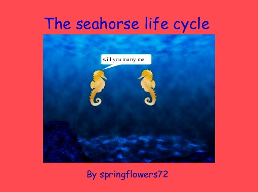 Quot The Seahorse Life Cycle Quot Free Books Amp Children S Stories Online Storyjumper