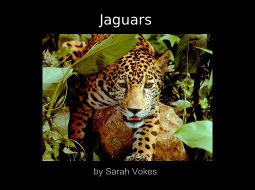 "Jaguars" - Free Books & Children's Stories Online | StoryJumper