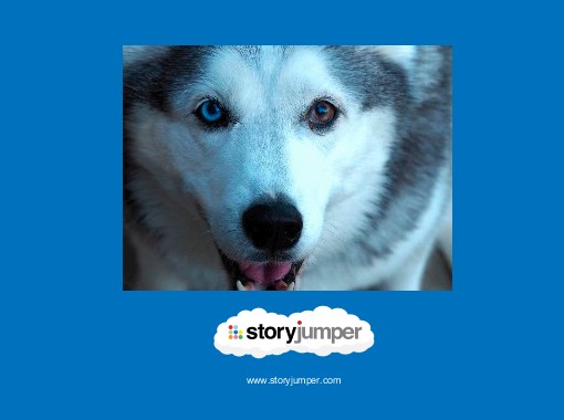 "Siberian Husky's" - Free Books &amp; Children's Stories Online | StoryJumper