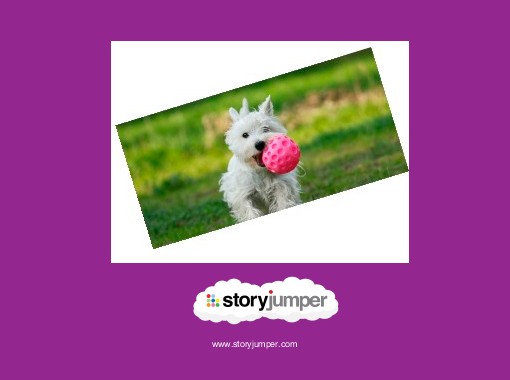 The dog football player - Free stories online. Create books for kids