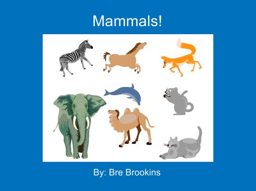 mammals pictures for kids