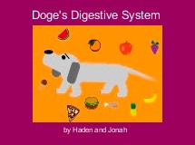 Doge's Digestive System 