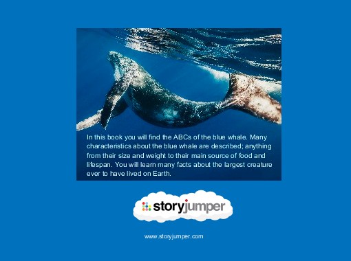 Prepare To Be Amazed The True Size Of A Blue Whale Revealed - 7jrcsfw