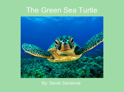 The Green Sea Turtle, Book by Isabel Müller, Official Publisher Page