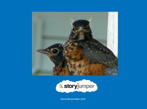 "Baby Birds" - Free stories online. Create books for kids | StoryJumper