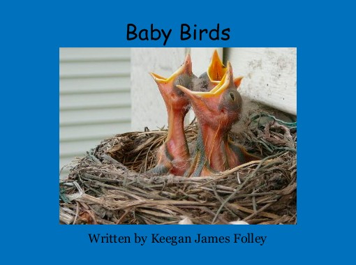 "Baby Birds" - Free stories online. Create books for kids | StoryJumper