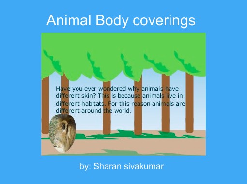 Animal Body coverings