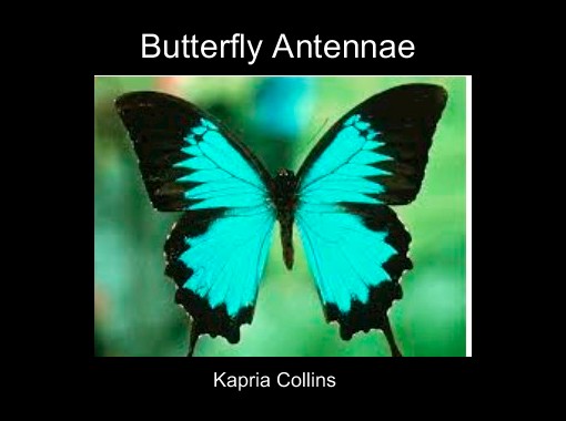 Butterfly Antennae" - Free stories online. Create books for kids |  StoryJumper
