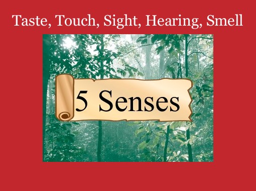 Quot Taste Touch Sight Hearing Smell Quot Free Books