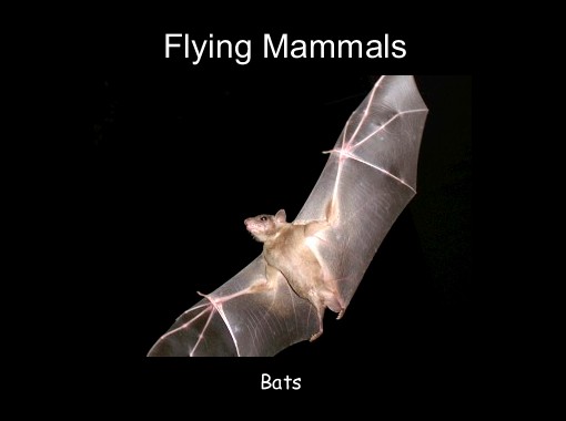 "Flying Mammals" - Free Books & Children's Stories Online | StoryJumper