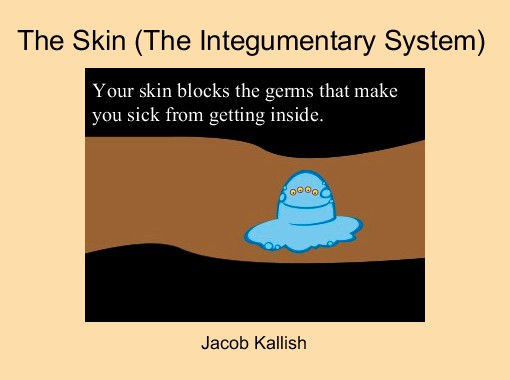 Quot The Skin The Integumentary System Quot Free Books