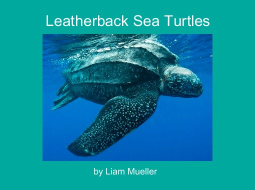 Quot Leatherback Sea Turtles Quot Free Books Amp Children S