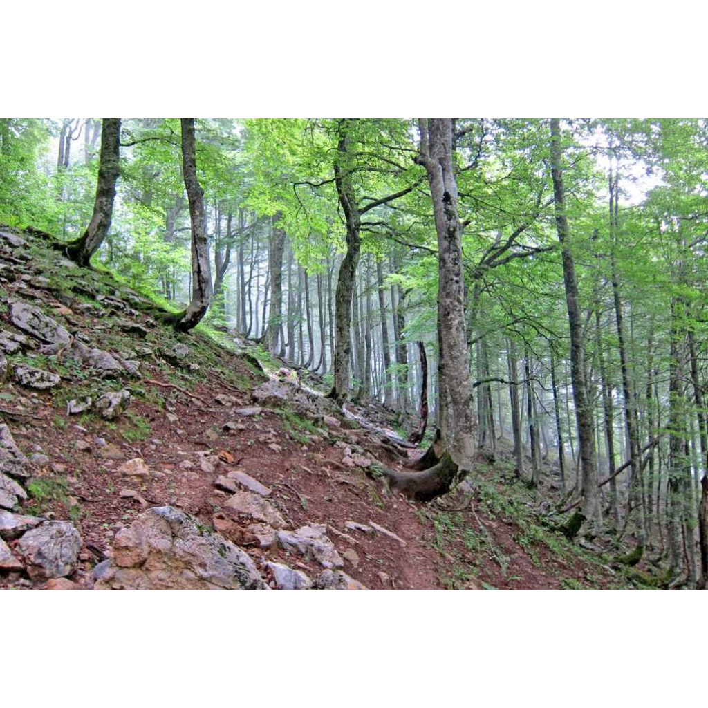 "Landslides For Kids!" - Free stories online. Create books for kids