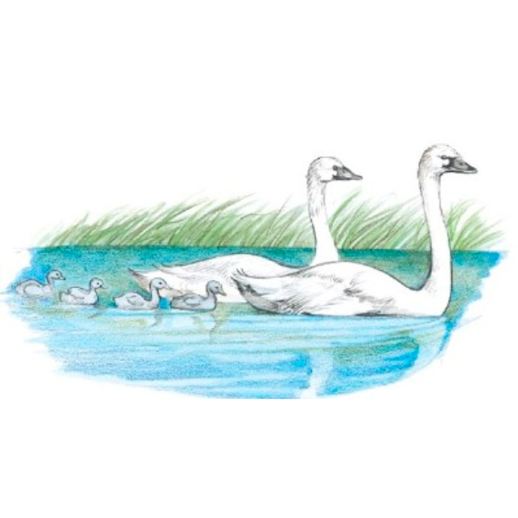 "The Ugly Duckling" - Free Books & Children's Stories ...