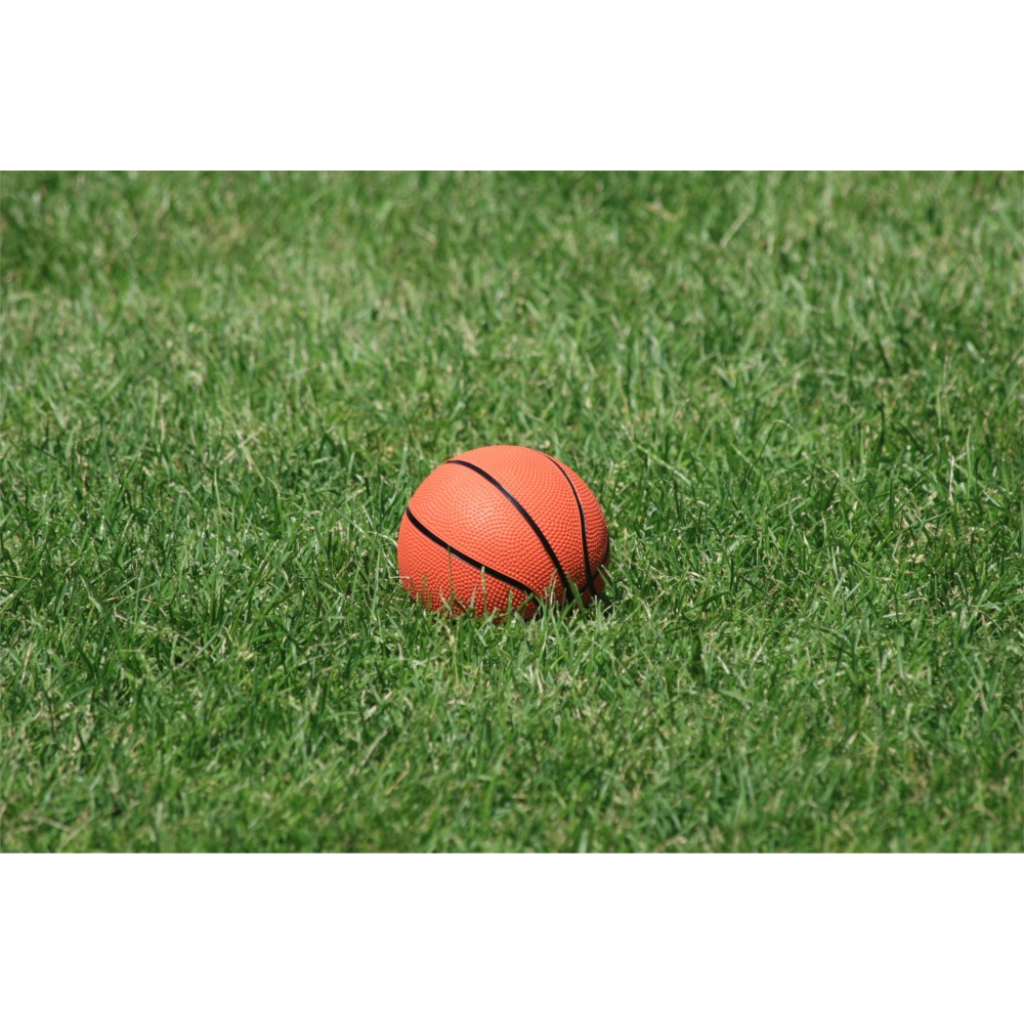 "The Basketball Dream" Free stories online. Create books for kids