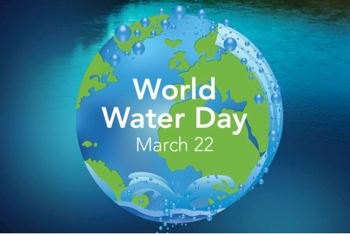 Image result for world water day 2018